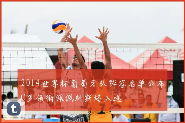 2014世界杯葡萄牙队阵容名单公布C罗领衔佩佩科斯塔入选