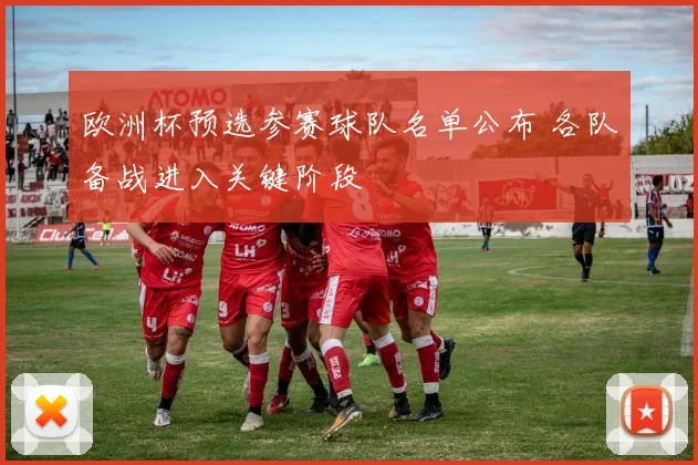 欧洲杯预选参赛球队名单公布 各队备战进入关键阶段