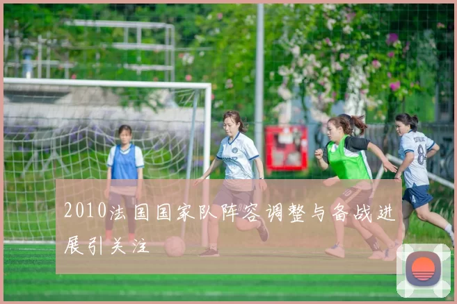 2010法国国家队阵容调整与备战进展引关注